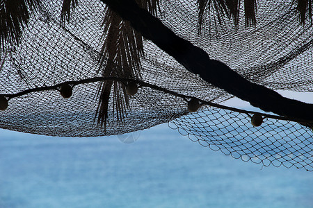 网编吊床以棕榈树环影和渔网观察晨海阴影海岸赏金享受码头工具天堂旅行休息室蓝色背景