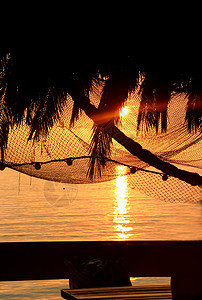 网编吊床配有棕榈树环影和渔网的美好日落旅行热带钓鱼休息室吊床陷阱休息支撑工具蓝色背景