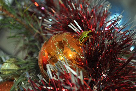 新年橙色球棘球蚱蜢高清图片