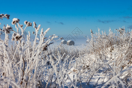 雪花篮子季节草地小麦天空稻草全景牧歌农村森林谷物高清图片