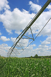 玉米滚筒用于农业的灌溉系统技术滚筒玉米现代化地球培育管道线圈干旱卷轴背景