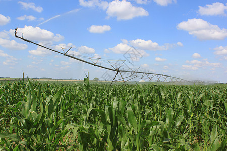 玉米滚筒用于农业的灌溉系统地球压力卷轴机器人生态玉米干旱蓝色场地现代化背景