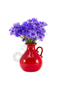 红色锯齿爆炸贴白色的美丽红色陶瓷花瓶和玉米花背景
