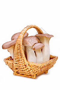 大号国王 篮子里的新鲜蘑菇高清图片