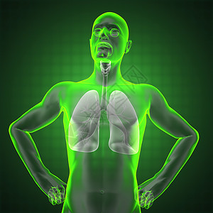 放射線人体胸腔放射线扫描医院蓝色生物学解剖学疾病科学肋骨器官胸部背景