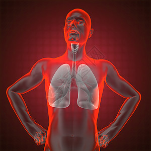 红色放射线特效人体胸腔放射线躯干身体病人考试诊断医院解剖学气管教育药品背景