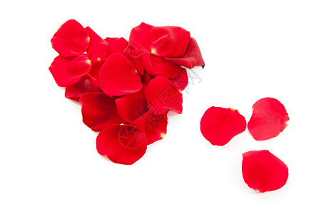 红玫瑰花瓣 以心脏形状花朵红色树叶背景图片