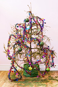 死圣诞树花环装饰蓝调地面植物群隐患火灾松树星星装饰品背景图片