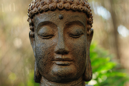 佛教文化佛头背景冥想哲学家禅意竹子祝福佛像绿色风水背景图片