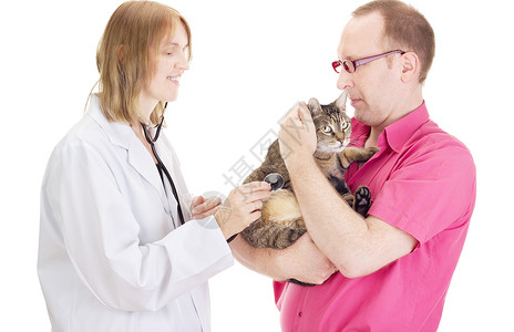 博士猫兽医医生的护理人员动物女士免疫疫苗工作工作室助手专家帮助男性背景