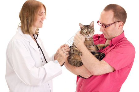 博士猫兽医医生的护理人员医疗女士保健助手药品诊断职业男人卫生疫苗背景