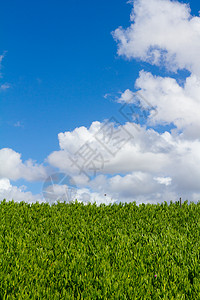 星空和云层生命地平线衬套蓝天灌木绿色气氛天空栅栏环境背景图片