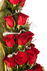 玫瑰粒子红玫瑰花 加上水滴脆弱性篮子祝福幸福派对周年紫色粒子愿望玫瑰背景