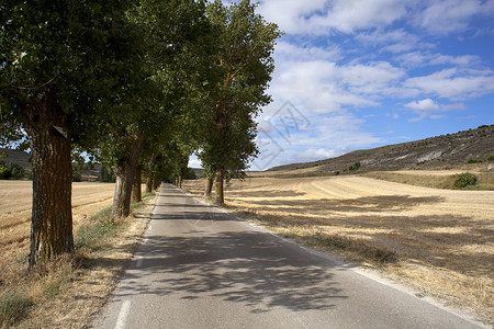 犁过的道路背景圣地亚哥高清图片