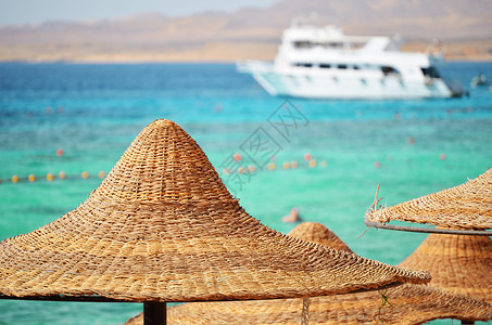 赫尔格达夏季炎夏日的海滨温度晒黑海岸晴天棕褐色运动稻草阴影海洋旅行背景