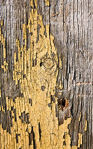 旧油漆板黄色木板裂缝油漆木头灰色背景图片