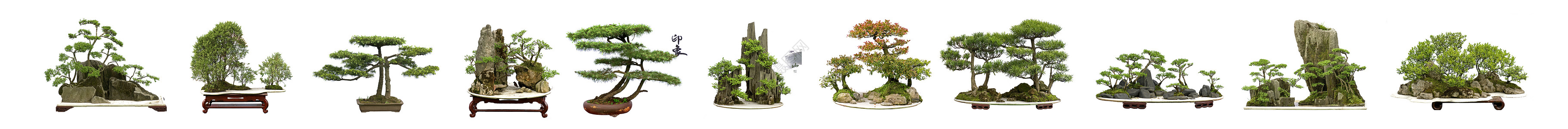 中华菜盆树叶风俗砂石艺术印象陶器绿色优雅盆景艺术品背景图片