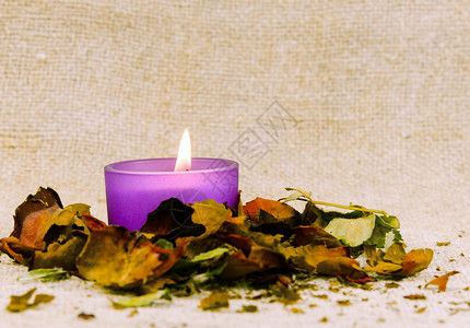 蜡烛灯花瓣诗歌褪色树叶浪漫紫色背景图片