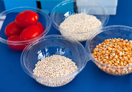 大米种子番茄 大米 玉米和小麦浆果科学家饮食科学玻璃实验室团体大麦谷物医生农业背景