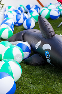 充气玩具海豚和球空气花园玩具蓝色背景图片