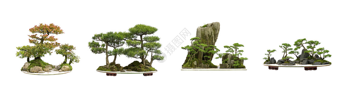 中华菜盆盆景风俗印象陶器绿色优雅艺术砂石树叶艺术品背景图片