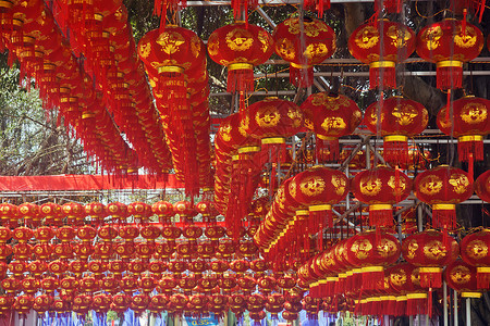 中国新年红灯笼挂在高处亲人家庭民间节日背景图片
