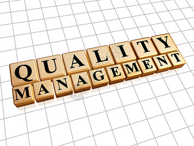 质量管理系统黄金立方体中的质量管理背景
