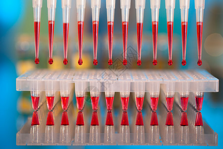 DNA分析 将反应混合物与m一起装入96well板块缓冲盘子装载机测序微孔水平dna血液核酶生物学背景图片