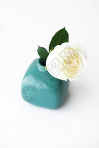 花瓶中美丽的白玫瑰玻璃橙子花瓣植物花束摄影框架季节玫瑰红色背景