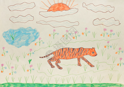 儿童绘画 - 老虎背景图片