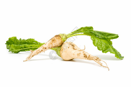 甜菜生物食物土豆商业植物农业糖厂生化健康背景图片