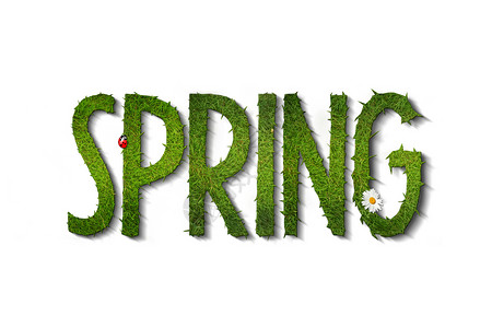 英文春天字体春季季节绿色雏菊植物群生态草地插图地球写作白色背景