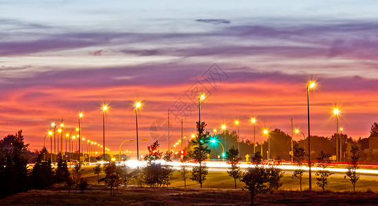 夜间1号公路尾灯条纹交通光线头灯过往路灯树木天空背景图片