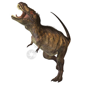 恐龙时代暴龙Rex 02背景