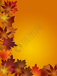 色彩多彩的秋叶边框背景图片