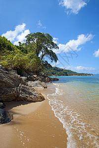 锡尔尼埃尔尼多晴天海岸线海景支撑蓝色天堂棕榈海岸风景石灰石背景