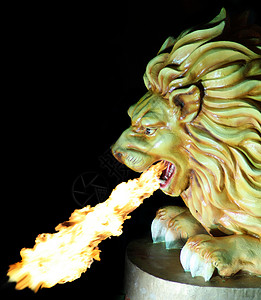 火焰狮子扑火狮子背景