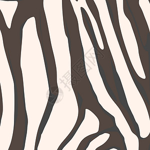 斑马元素斑马背景动物园线条手绘曲线野生动物艺术动物动物学条纹荒野背景