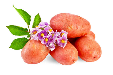 红土豆和鲜花背景图片