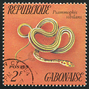 蛇邮票蛇蛇皮爬虫邮戳邮资毒蛇古董动物明信片信封危险背景