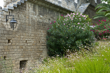 凯尔灯中世纪堡垒楼梯阴影地标废墟脚步文化植物古董植物学旅行背景