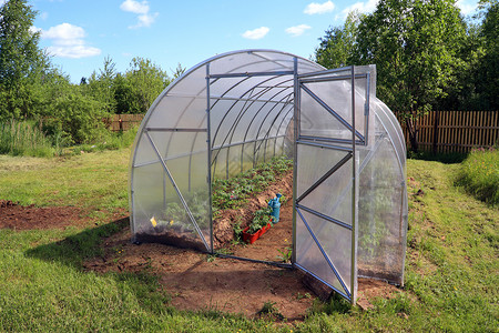 热温室生物学文化蔬菜塑料花园场景栽培苗圃食物幼苗高清图片