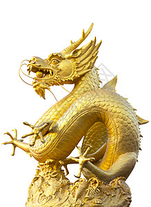 龙年金龙人物白色背景的金龙雕像旅行小路节日建筑学金子动物财富寺庙狮子传统背景
