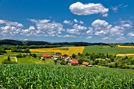 春季三时美丽的绿色村庄风景景观 三高清图片