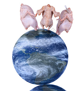 地球人口禽流感国际电脑全世界世界白色健康全球鸡瘟食品图形背景