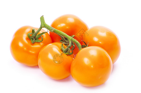 番茄蔬菜饮食生物学美食植物食物市场沙拉绿色生长背景图片