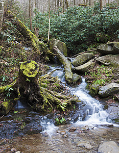 大烟量烟雾山风景绿色树干棕色石头踪迹森林瀑布背景