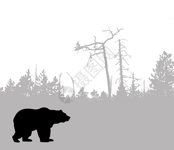 气象符号图片矢量绘图草图动物飓风生态艺术品艺术气象哺乳动物木头风景背景