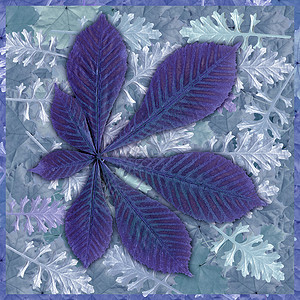 手绘婴亲霜背景 彩色叶子蓝色框架手绘写意季节假期森林正方形艺术天气背景
