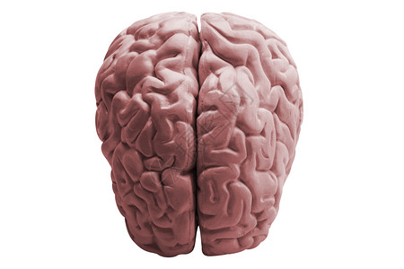 人脑身体心理学技术智力头脑测试小脑知识分子射线皮层背景图片